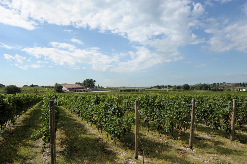Tenuta La Cà Bardolino Bagian luar foto